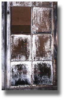 Glasshouse Window